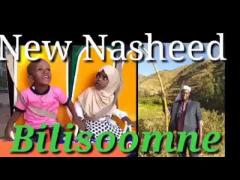 Qerrof Qarren Baga Gammaddani Nashidaa Afaan Oromoo