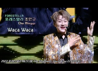 Waka Waka 조민규 Cho MinGyu 2022 포레스텔라 페스티벌 The Beginning World Tree 221009 일
