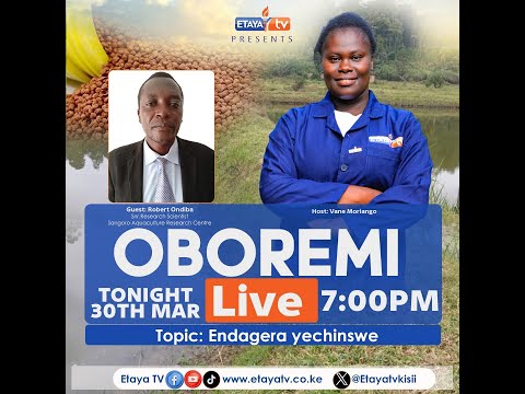 LIVE Oboremi N Abaremi Vane Moriango Hosting Robert Ondiba Snr Research Scientist Sangoro Aqua
