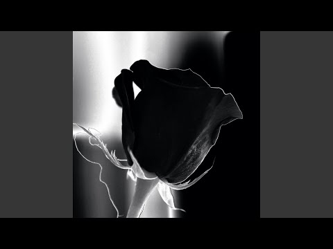 العبلها بكسها