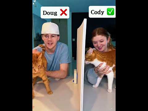 Best Videos Of The Year You Must Watch ShortVideo Trending