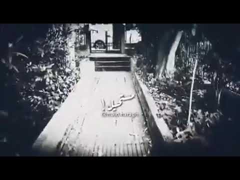 الحكاية في كلمة واحدة وائل جسار Wael Jassar