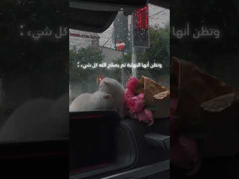 لكن لنا فيه ظن لا يخيبنا تصميمي