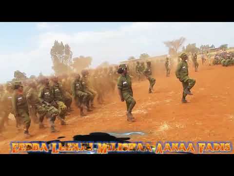 Eebba Leenjii Milishaa Aanaa Fadis Goota Ija Barbadaa