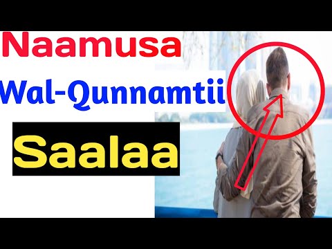 Naamusa Wal Qunnamtii Saalaa Etiquette Of Sexual Intercourse In Islam