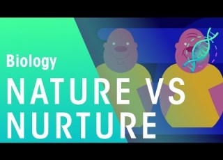  Nature Vs Nurture Genetics Biology FuseSchool