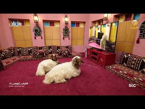 الاستراحة قلبت سوق غنم شباب البومب 14 الاستراحة قلبت سوق غنم شباب البومب 14