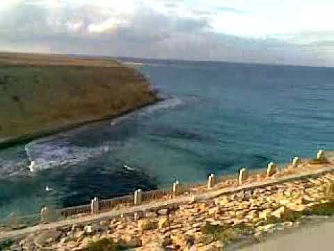 الغربه أنا من البدايه يا غربه بتحمل الغربه أنا من البدايه يا غربه بتحمل