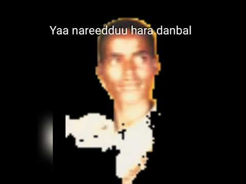 Bashiir Gammadoo Yaa Garaan Jaalatee Dhabe Obsee Ana Teessisuu New Ethiopian Oromoo Music