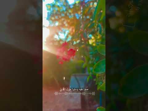 يامن تحبون النبي محمدا اه ياحبيبي فيروز حب ستوري متة رواق هدوء Love حالات واتس اب 2024 يامن تحبون النبي محمدا اه ياحبيبي فيروز حب ستوري متة رواق هدوء Love حالات واتس اب 2024