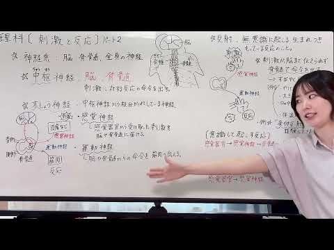 中学理科 刺激と反応part2