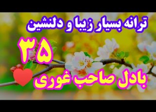 ترانه بسیار زیبا و دلنشین و شنیدنی باصدای بادل صاحب غوری ۳۵