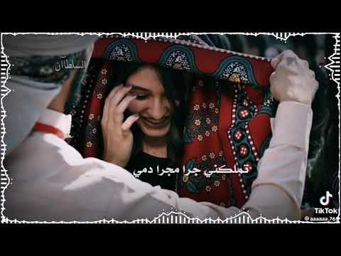 حسين محب حبش ملا قلبي