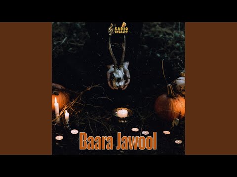 Baara Jawool Madouwa