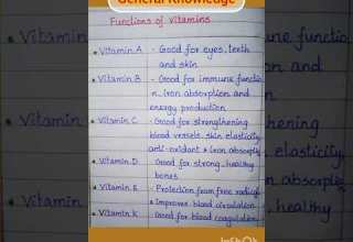 Vitamin A Vit B Vit C Vit D Vit E Vit K Functions Vitamin Shortsfeed
