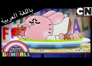 المرشح غامبول كرتون نتورك