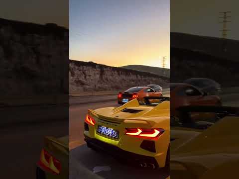 انطلاق اقوى سيارة في فلسطين Shelby