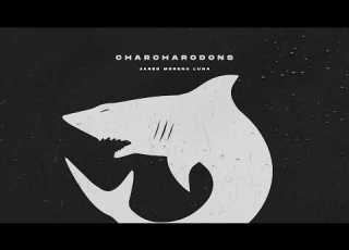  Carcharodons Warhammer 40 000 Theme