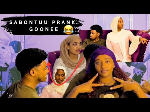 Sabontuu Prank Goonee