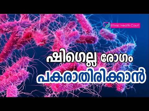 ഷ ഗ ല ല ര ഗ പകര ത ര ക ക ൻ Shigella Disease Ethnic Health Court