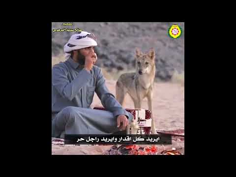 اللى يعاشر الديب فتحي بو غرابيل