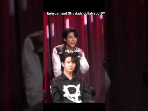 F Mit Welchem Künstler Würdest Du Gerne Zusammenarbeiten Enhypen Straykids Collab Shorts