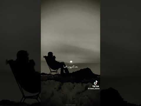 لكل طير مرساه