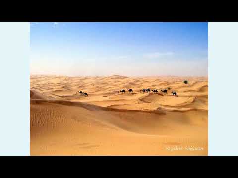 صوت الصحراء المتميز بلقاسم بوقنة يغني عن الغربة صوت الصحراء المتميز بلقاسم بوقنة يغني عن الغربة