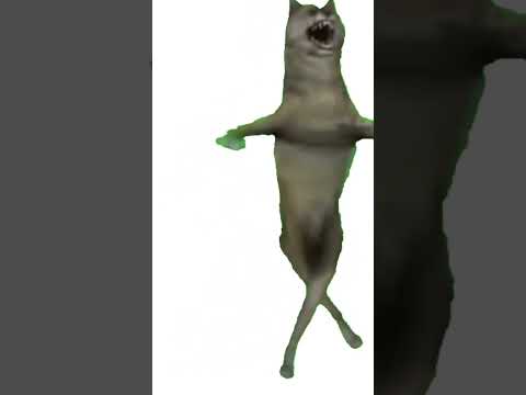 Wolf Dance Shorts Wolf Dance Meme