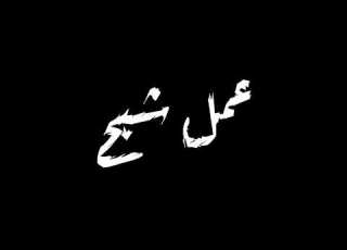 كله عمل شبح