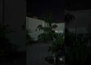 يا صاحب اللهم كلمات للأمام الشافعي رحمه الله