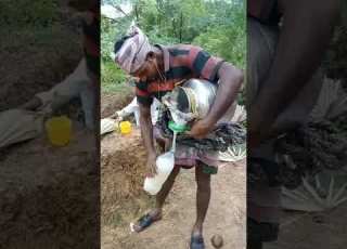 White Water Kallu Palm Wine Taadi Wine