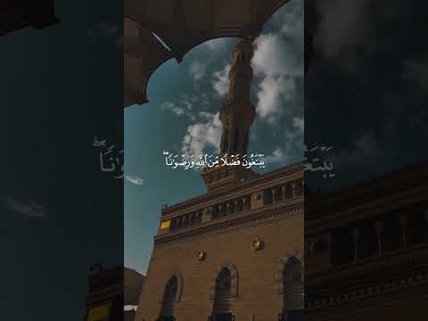 محمد رسول الله والذين معه اشداء على الكفار القارئ ياسر الدوسري قرآن محمد رسول الله والذين معه اشداء على الكفار القارئ ياسر الدوسري قرآن