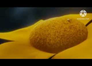 Dr Seuss Horton Hears A Who Official Teaser Trailer 2011