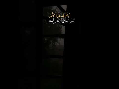 آه علي قلب هواه محكم بدون موسيقى Music Withoutlyrics Explore Love Withoutmusic Song