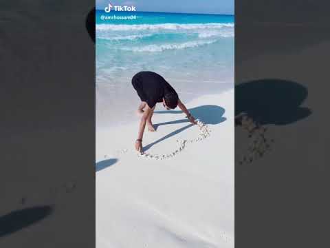 ياليلي وياليلا اشترك بقناتي لنستمر