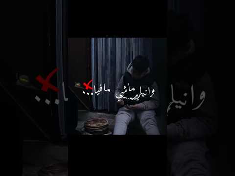 Cheb Mirou Malek Ya Zhry كابر قليل من بكري طافية Music Explore Love Ray Dz Fyp