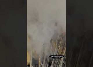 کباب و دنبه دکتر جیگر