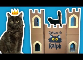  I Built The WORLD S GREATEST Cat Fort
