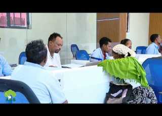  Wiirtuu Kenna Tajaajila Iddoo Tokkoo MESOB Damee Kutaa Maagaalaa Daabee