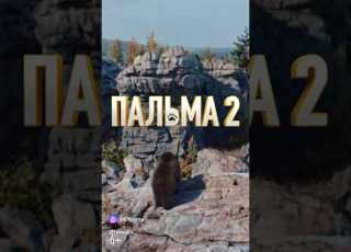 Анонс Пальма 2 В кинотеатрах уже с 20 марта Режиссёр фильма Александр Домогаров мл кино