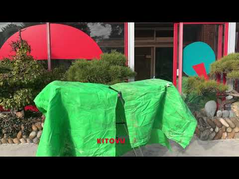 EP8 Kitovu Bought A Used Material