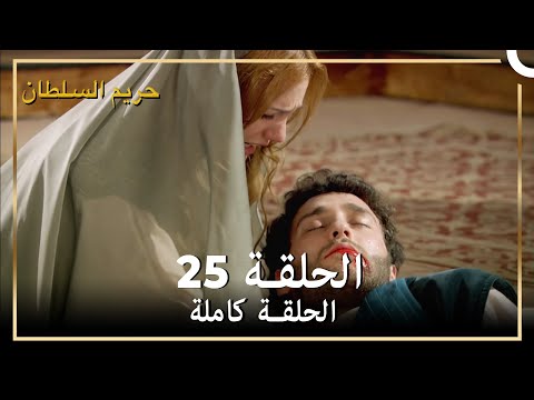 حريم السلطان الحلقة 25 مدبلج