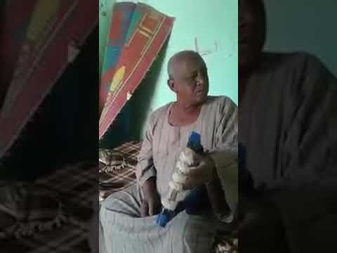 طمبور عوض سيد احمد الجرف صدفة رائعة الفنان محمد وردي