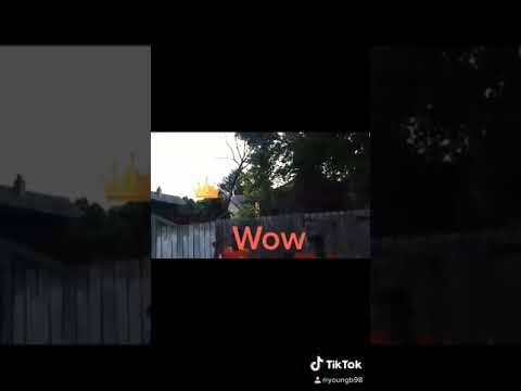 Watoto Wauni Kc Dance