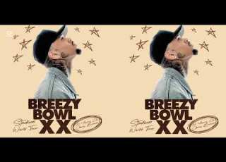 Chris Brown No More Love