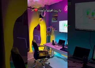  يا ريت لقيتها واجدة