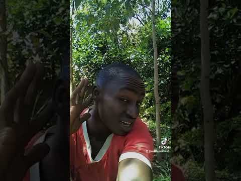 Hutaki Kuiona Sura Yangu