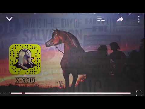 قروب تعارف شباب وبنات سورية