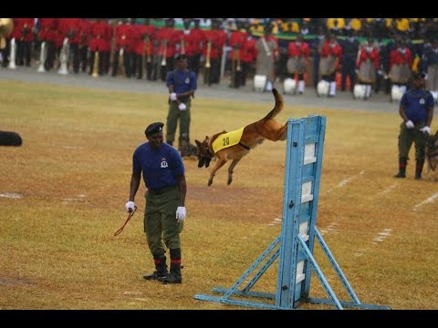 Onesho La Mbwa Na Farasi Kwenye Sherehe Za Muungano Dodoma